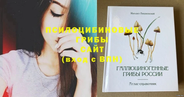 соль курить ск Бородино