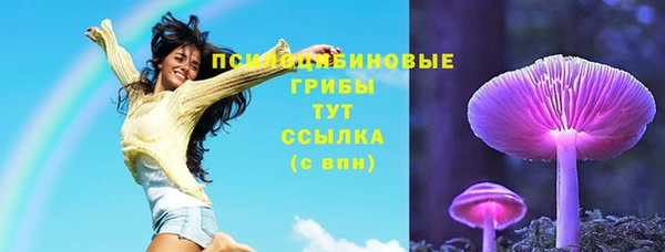 spice Бугульма