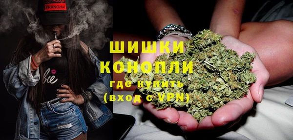 СК Бронницы