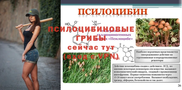 spice Бугульма