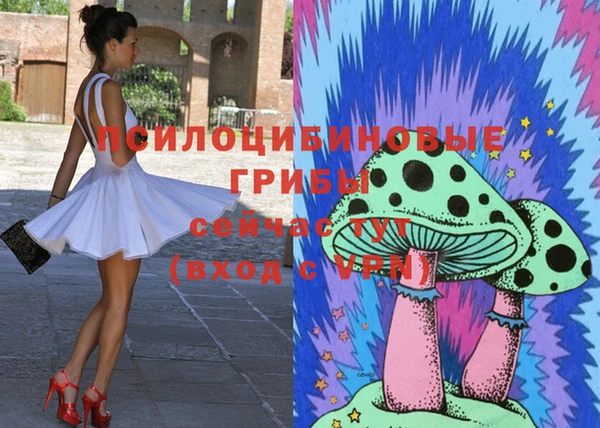 spice Бугульма