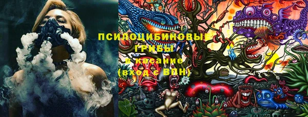 spice Бугульма